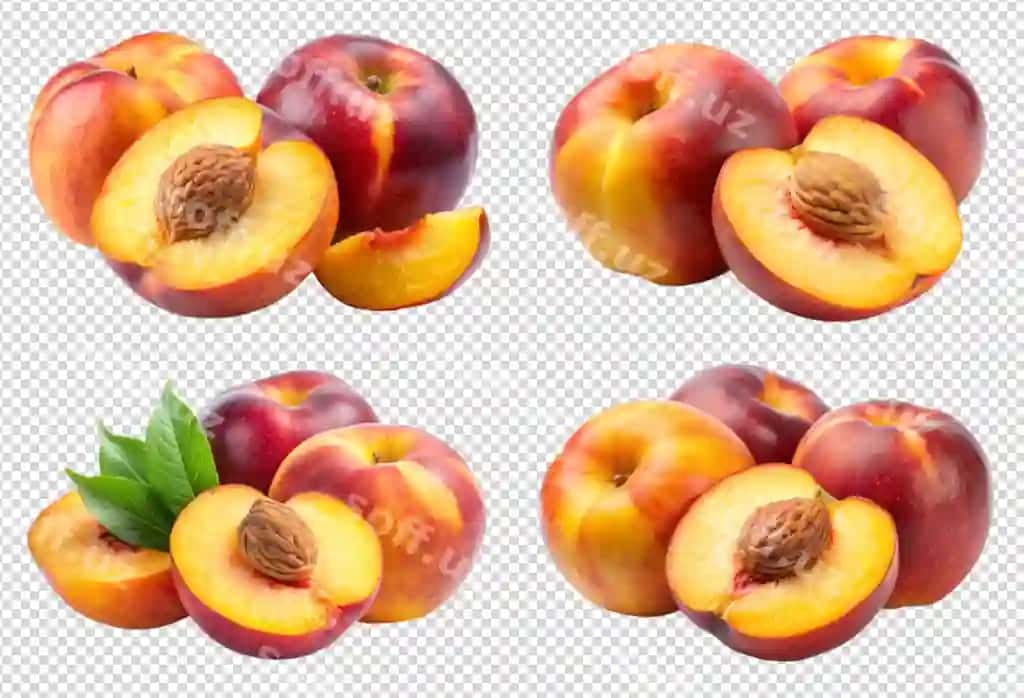Bir guruh o'shiblar yashil barg bilan ko'rsatilgan | Bunch peaches are shown with green leaf