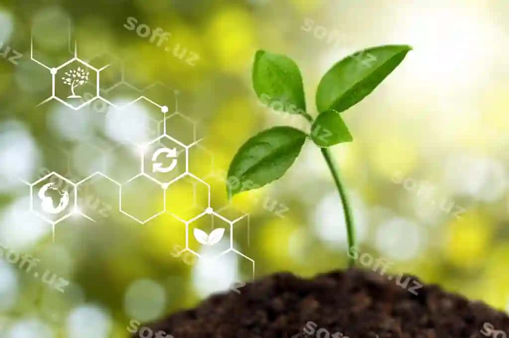O'sib bormoqchi yosh o'simlik eko illustratsiyasi bilan | Growing young plant with eco illustration