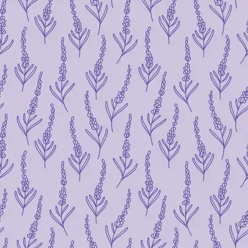 Qo'lda chizilgan vektorli lavanta yoqimli binafsharang gul naqshini chizadi | Hand drawn vector lavender doodles cute purple floral pattern