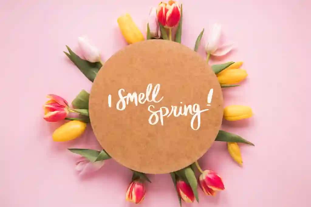 Yassi yotqizilgan dumaloq kartochka maketi bahor | Flat lay round card mockup spring