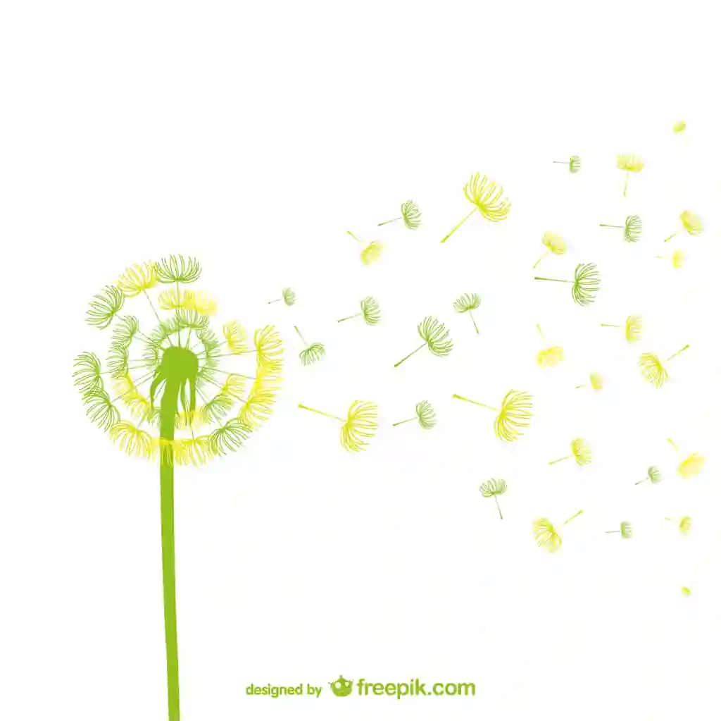 Yashil sariq karahindiba vektori | Green yellow dandelion vector