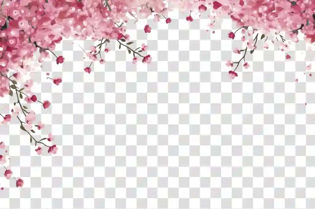 Gilos gulining gulli ramkasi | Cherry blossom floral frame