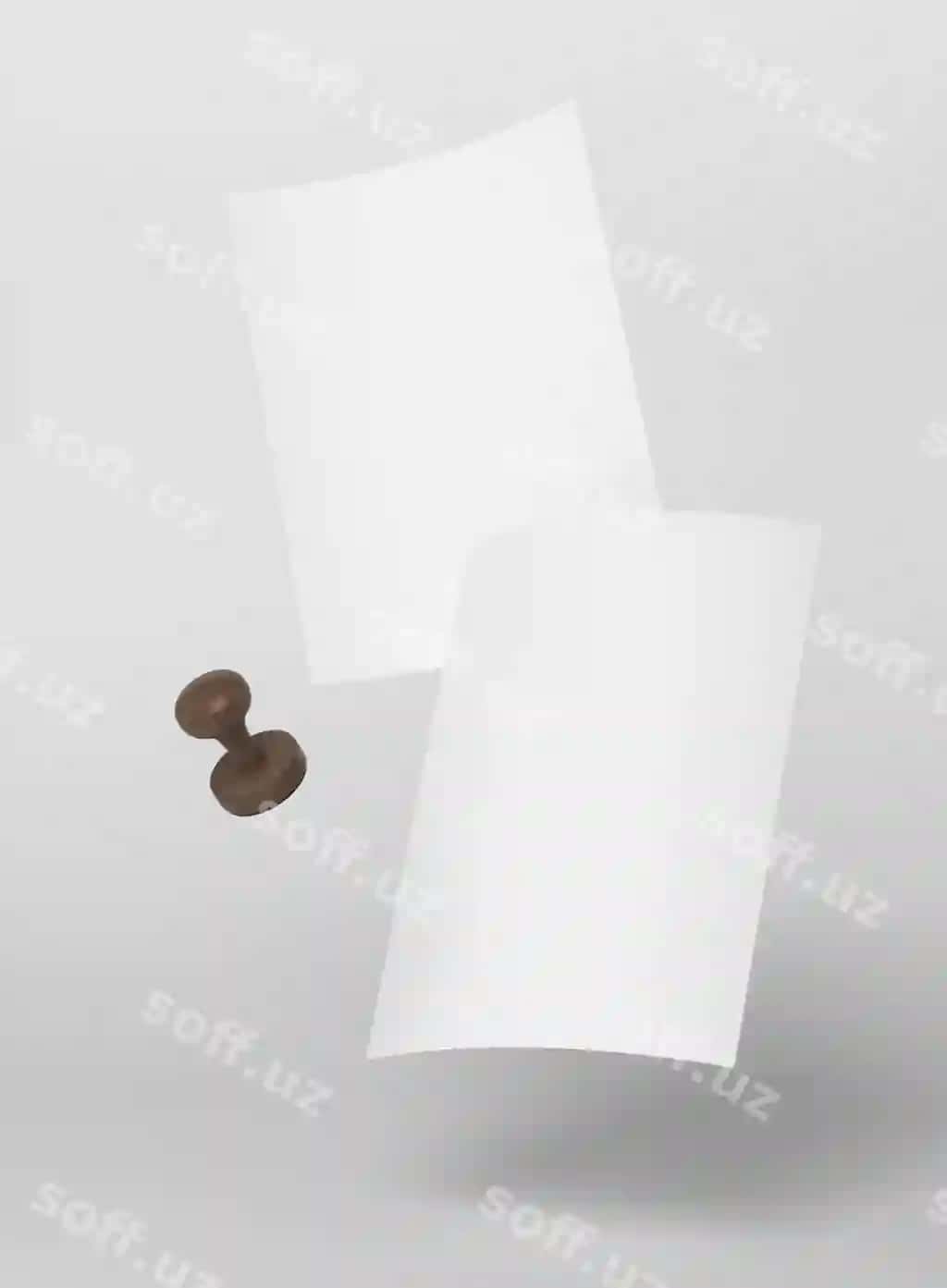 Qog'oz gerb namuna to'plami | Paper seal mock up assortment