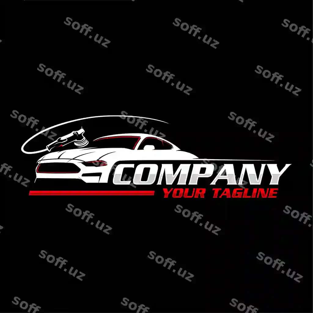 Avtomobil detallash logotipi avtomobil yuvish logotipi | Detailing car logo car wash logo 2