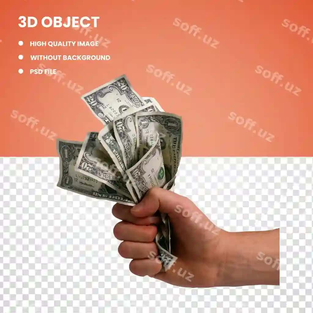 3D dollarlik pul sumkasi | 3d dollar money bag
