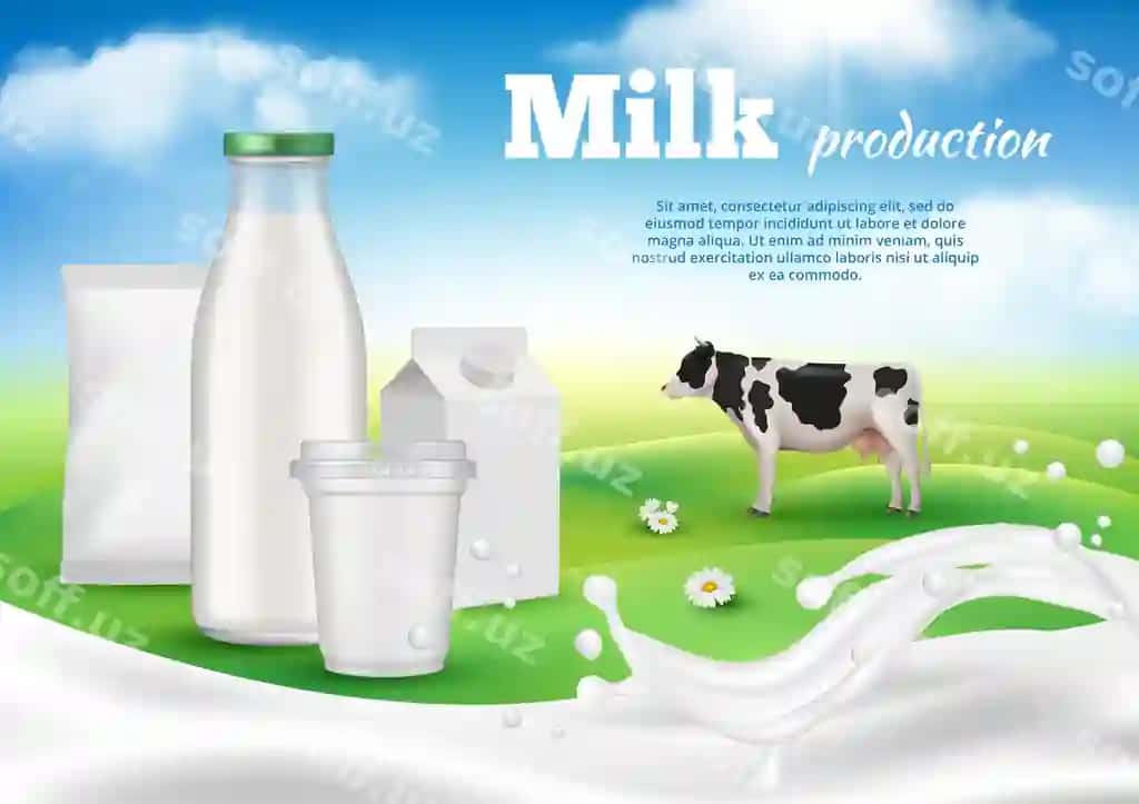 Sut mahsulotlari afishasi sut mahsulotlari reklamasi plakat yaxshi vektor shablon | Dairy poster milk products ads placard decent vector template