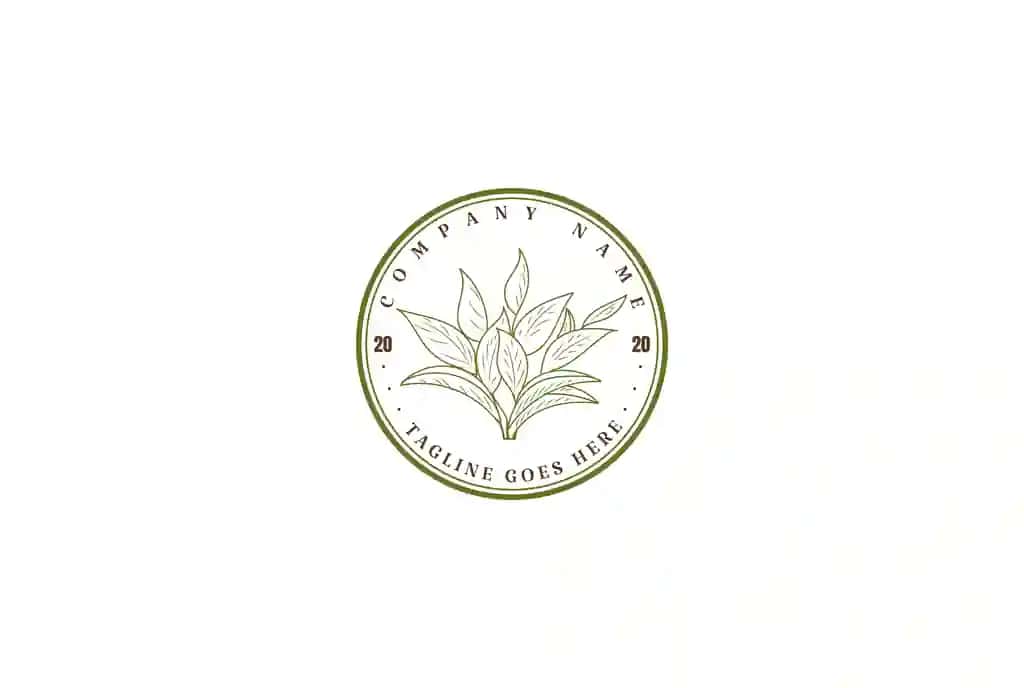Vintage minimalist oqlangan yashil choy barglari logotipi dizayni vektori | Vintage minimalist elegant green tea leaf leaves logo design vector