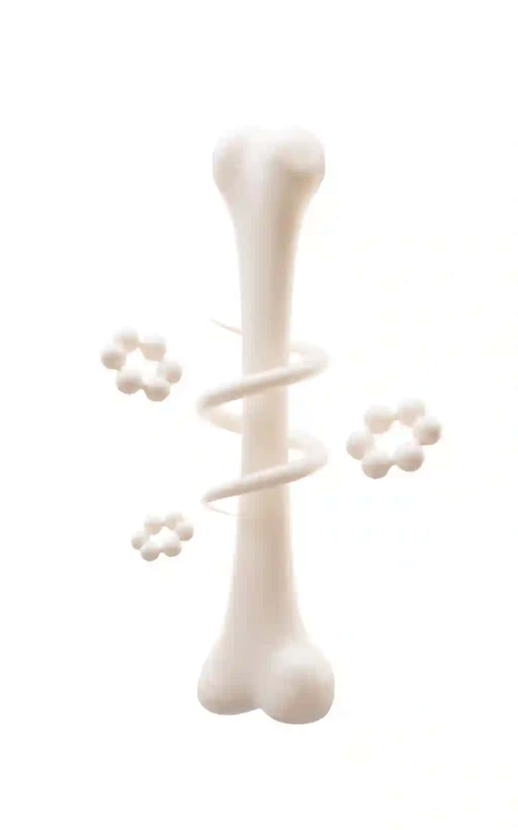 Skelet suyak salomatligi biologik anatomiya 3D render | Biological anatomy skeleton bone health 3d rendering