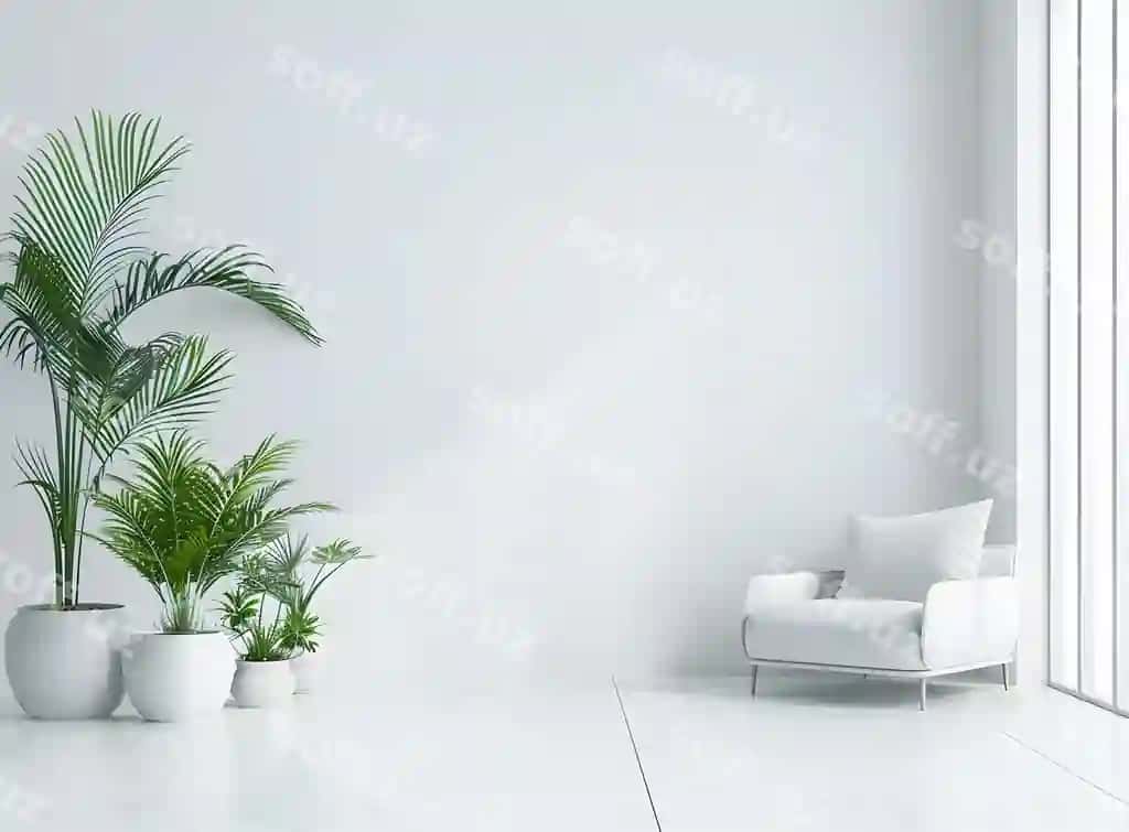 Oq devor orqa fonda zamonaviy ichki dekor mehmonxonasi divan bilan gullik qozonlar | White wall background modern interior design living room with sofa flower pots