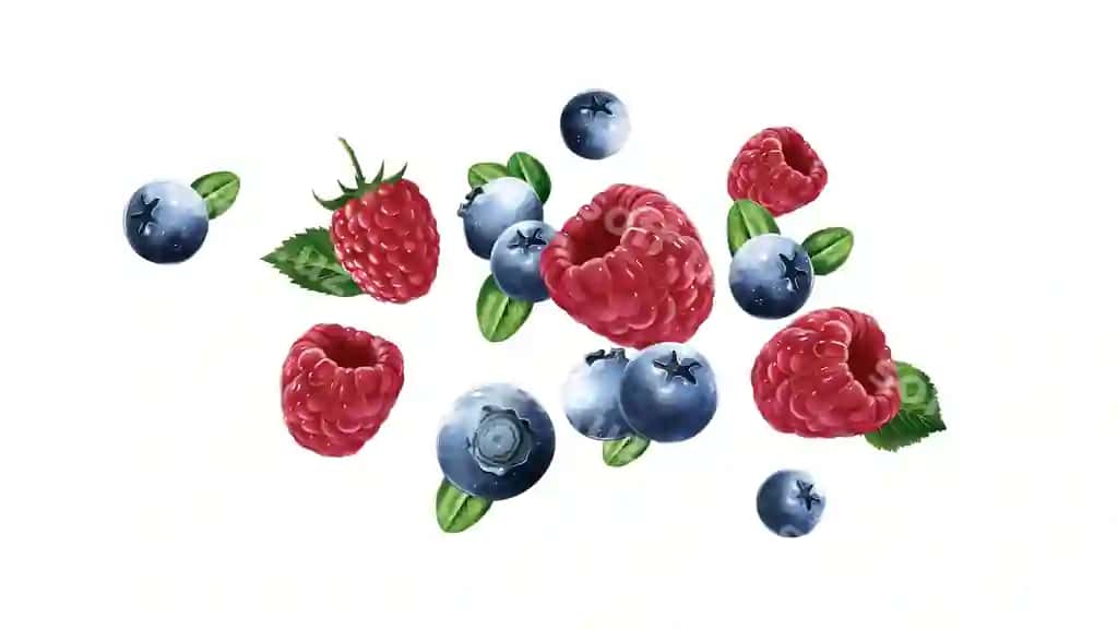 Oq orqa fon 640 x 480Comment | Raspberries blueberries are flying white background