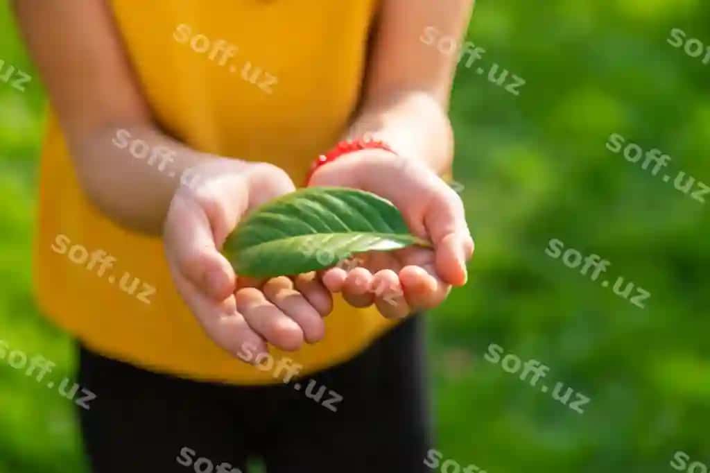 Bolalar tabiatchilik qilish, tabiat daraxtiga qo'llari bilan e'tibor berish, tanlovchi fokus | Children take care nature tree their hands selective focus