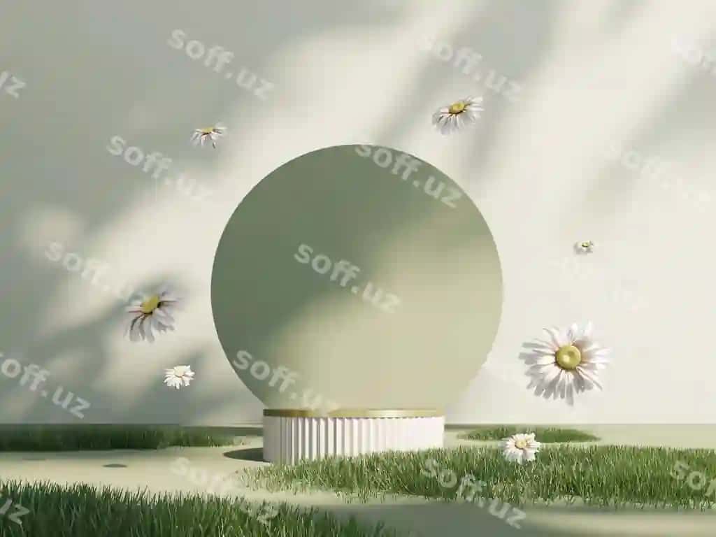 3D bahor podium namoyishi chamomil bilan pastel ranglardagi ochiq fonda soya efekti | 3d spring podium display with daisies light pastel background with shadow