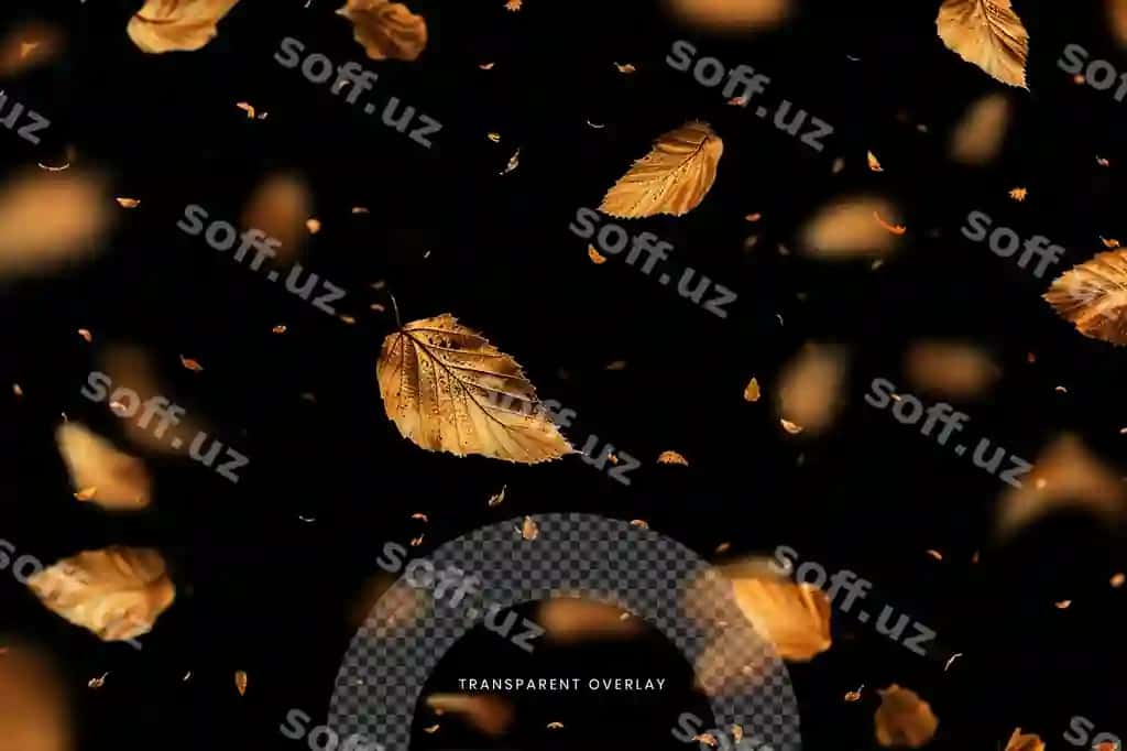 Kuz baneri tushayotgan buzruq yaproqlari bilan | Autumn fall banner with falling maple leaves