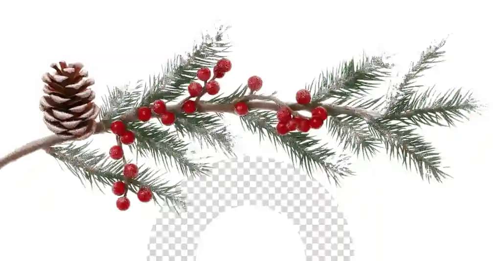 Qizil mevalar shaffof fon bilan Rojdestvo gulchambari | Christmas wreath with red berries transparent background