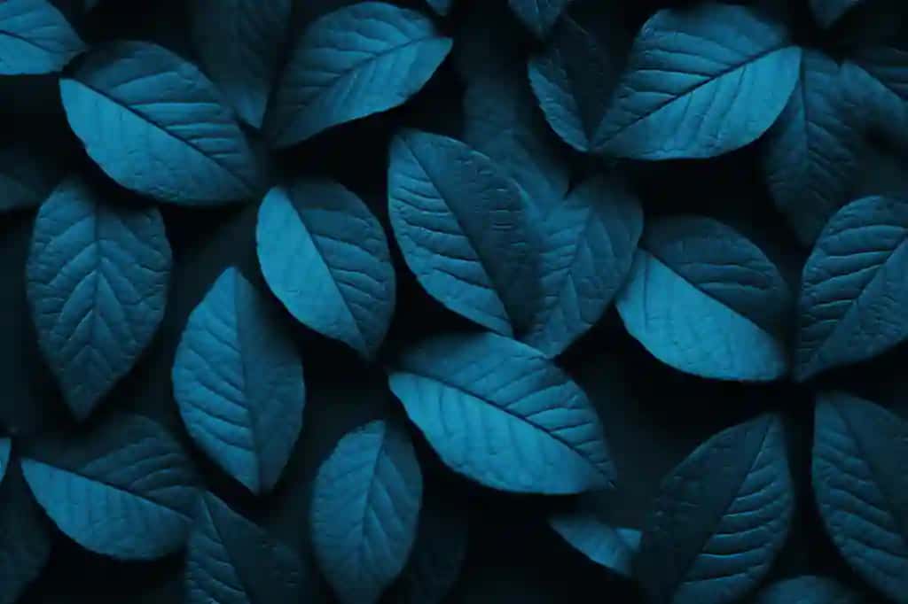 Yuqori ko'rinishdagi ko'k barglar ko'k fon bilan | Top view blue leaves with blue background