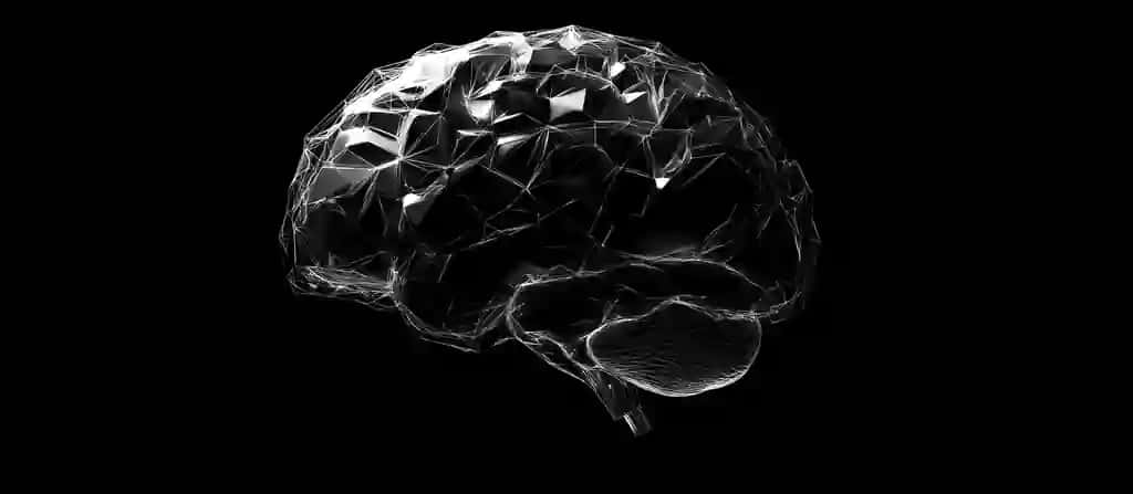 Ramkali miya | Wireframe brain