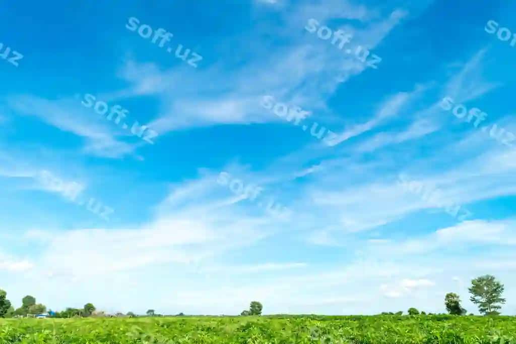 Osmonga qaragan manzarali maydon | Scenic view field against sky