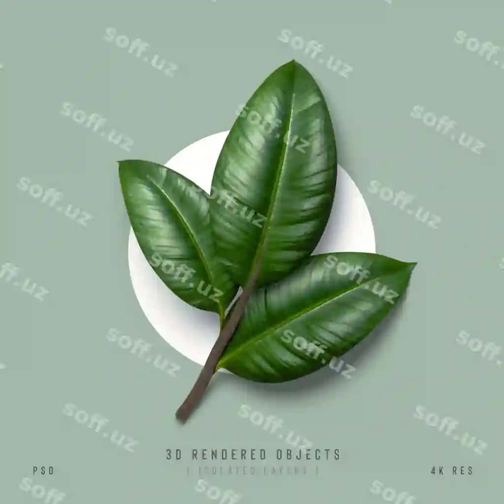 3d yaproqlar yuqori ko'rinish maxsus sahna ajraltirilgan tropik yashil yaproqlar 3d | 3d leaves top view custom scene isolated tropical green leaves 3d