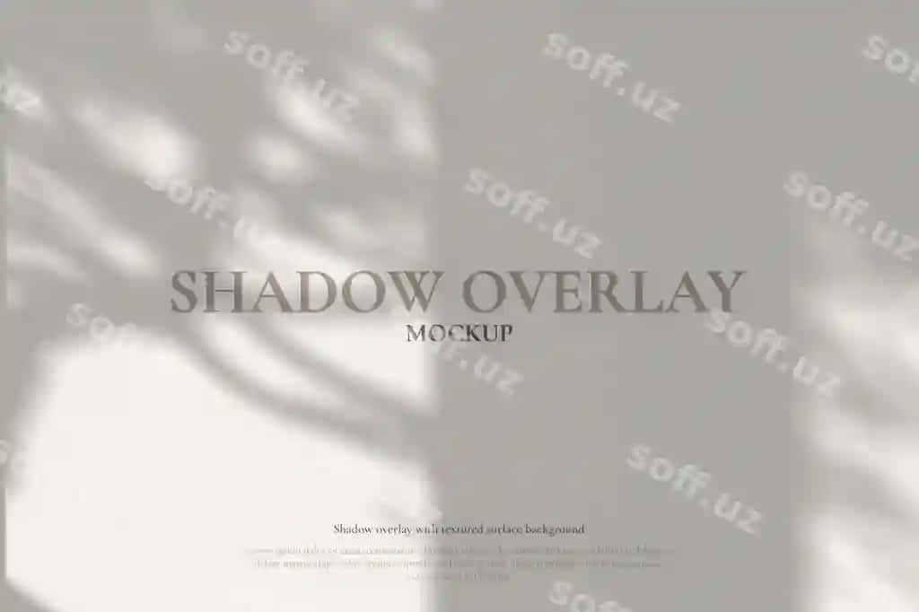 Mavhum daraxt shoxlari deraza nuri yonidagi devorga soya soladi | Abstract tree branch shadows wall beside window light