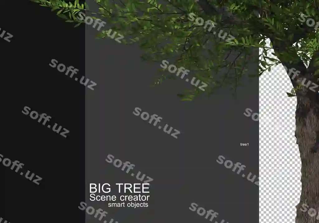 Katta daraxtning oldingi fonda renderingini ekranga chiqarish | Display large tree foreground rendering