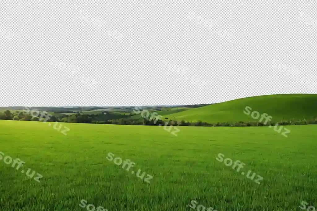 Yashil maydon | Green field