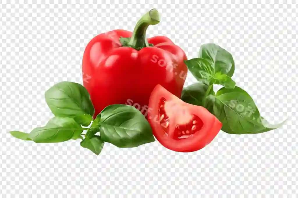 Qizil biber nane ajraltirilgan shaffof fonda | Red bell pepper mint isolated transparent background