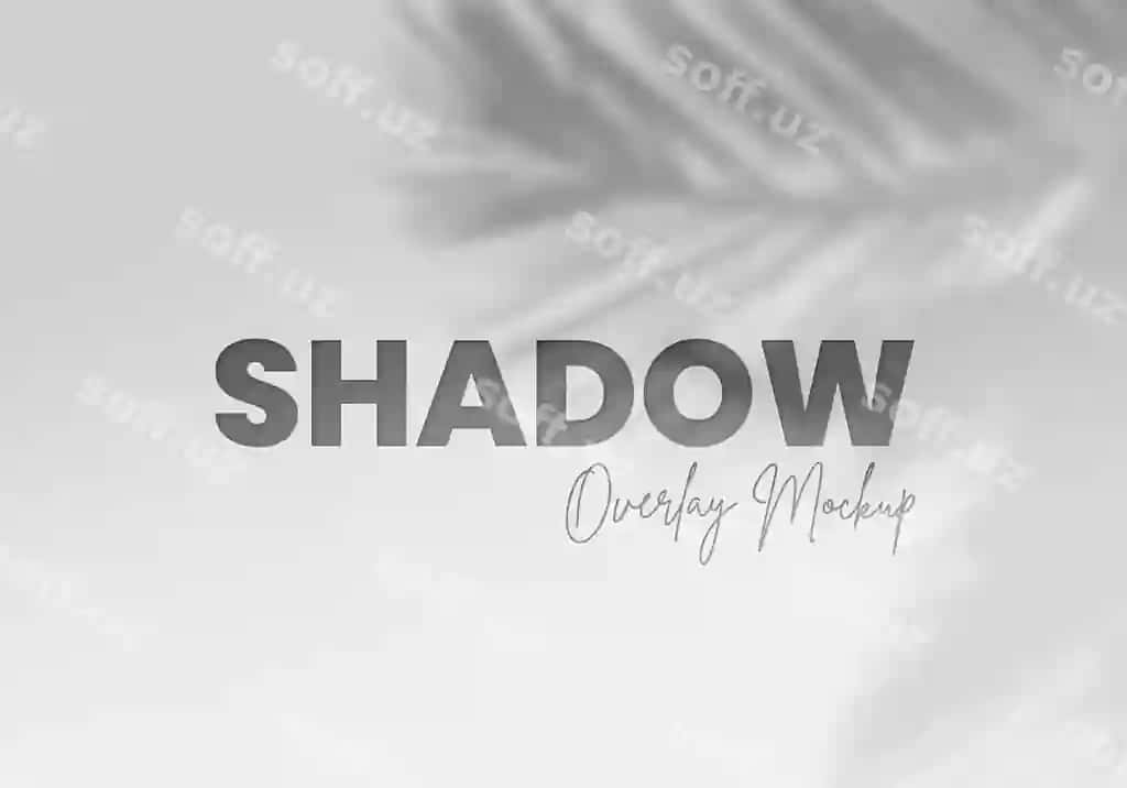 Palma barglari soyasi maketi | Palm leaves shadow overlay mockup
