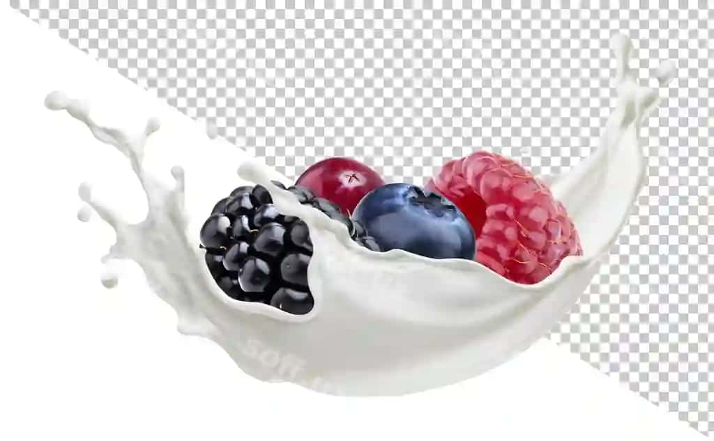 Sut sachrashi izolyatsiya qilingan o'rmon rezavorlari | Forest berries with milk splash isolated