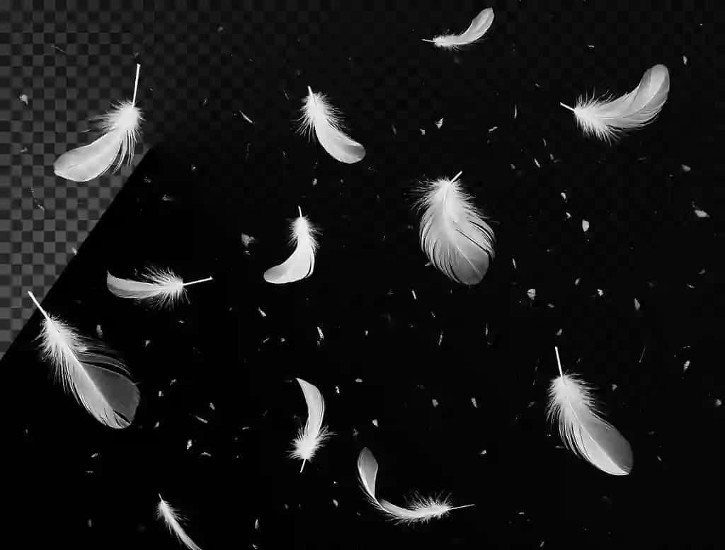 Havoda shaffof qoplama effekti bilan suzuvchi ko'plab oq patlar | Many white feathers floating air transparent overlay effect