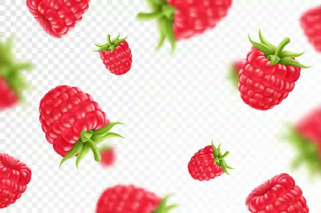 Yashil barglari shaffof malinali uchuvchi fon | Raspberry background flying raspberry with green leaf transparent