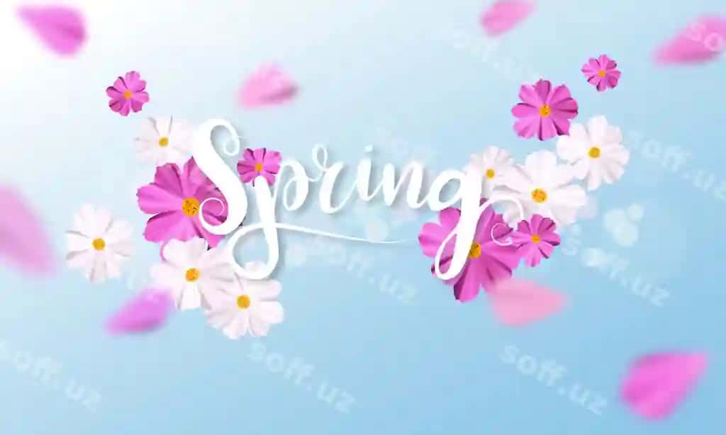 Bahor orqa fonda chiroyli gulrang oq gul bilan | Spring background with beautiful pink white flower