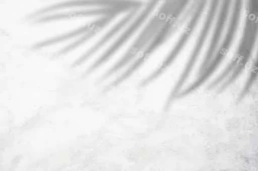 Tabiat yoz orqa fonda sochki pal'ma barglari oq beton devor | Nature summer background shadows palm leaves white concrete wall