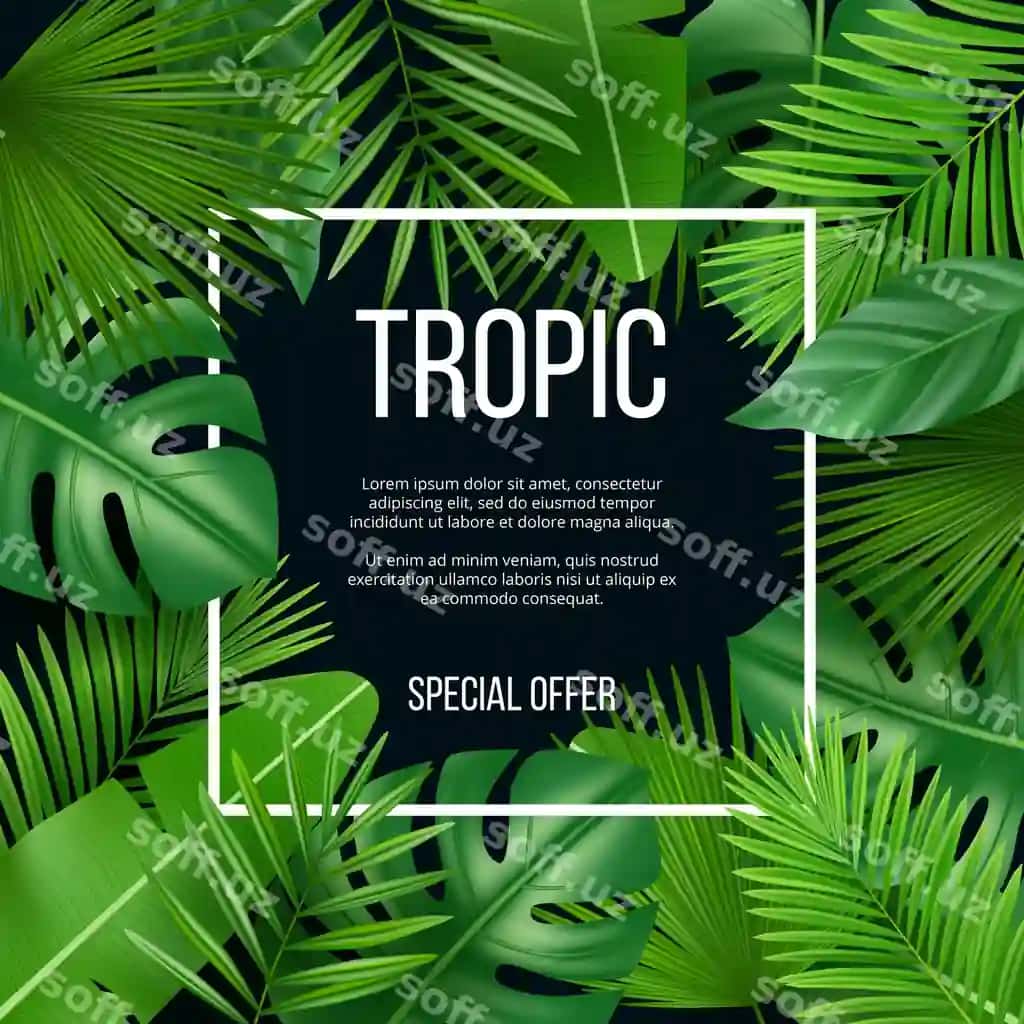 Varaqlar ramka shabloni tropik tabiatdagi yashil o'simliklar rasmi bilan | Leaves frame template with nature green plants tropical picture