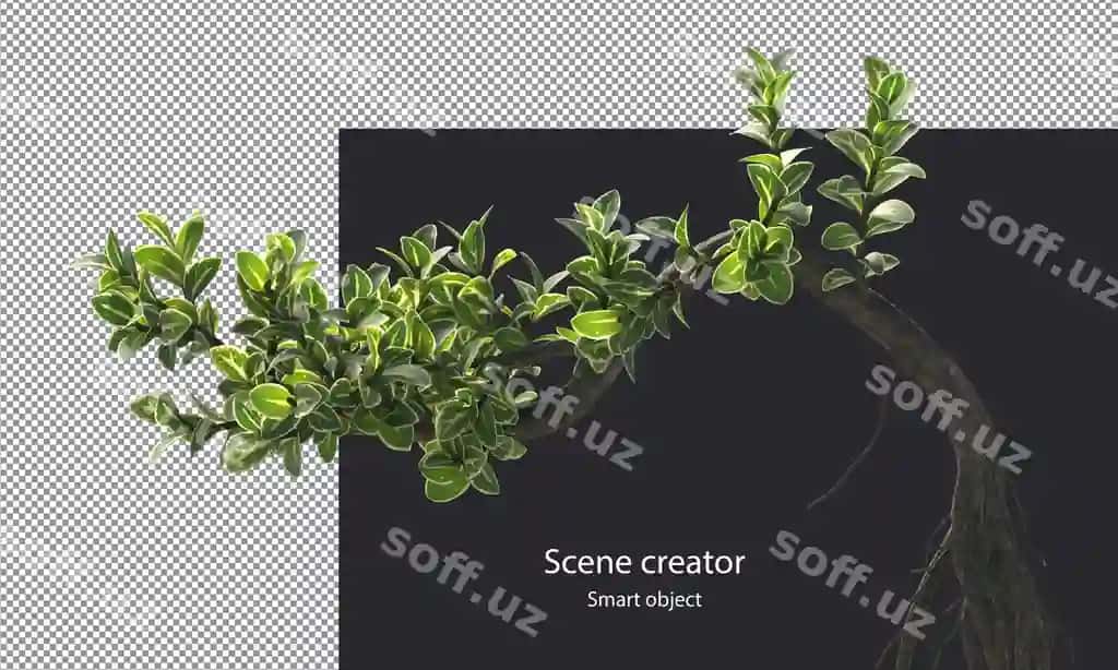 Snouroz daraxtlari daryolari ajralangan kichik o'simliklar kesish yo'li | Snowrose trees branches isolated small plants clipping path