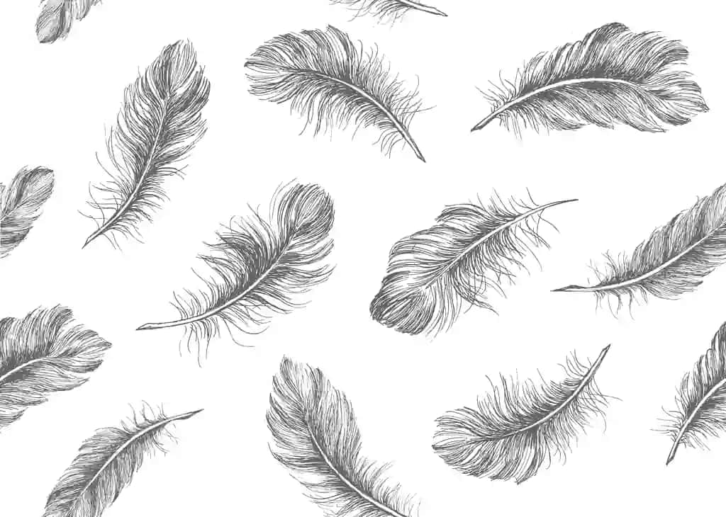 Oq fonda patlar qo'lda chizilgan eskiz uslubida | Feathers white background hand drawn sketch style
