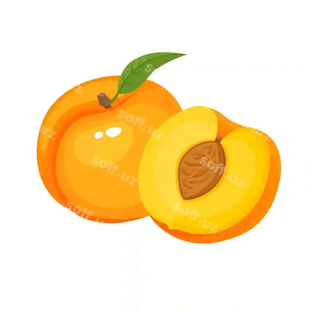 Yorqin vektor to'plami rangli suvli shaftoli yangi multfilm shaftoli izolyatsiya qilingan | Bright vector set colorful juicy peach fresh cartoon peaches isolated