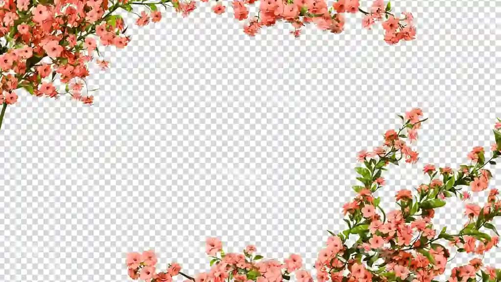 Yashil ramka botanika dekorasi | Greenery frame botanical decor