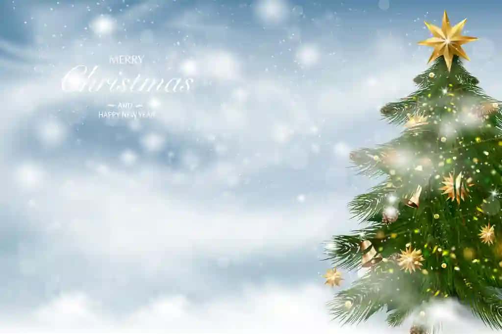 Rojdestvo daraxti qishki manzara fonida Rojdestvo bezaklari | Christmas tree with xmas decorations winter landscape background
