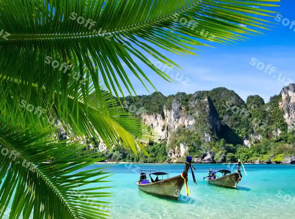 Tropik dengizda quyoshli kun qodirlar bilan | Tropical sea sunny day with boats
