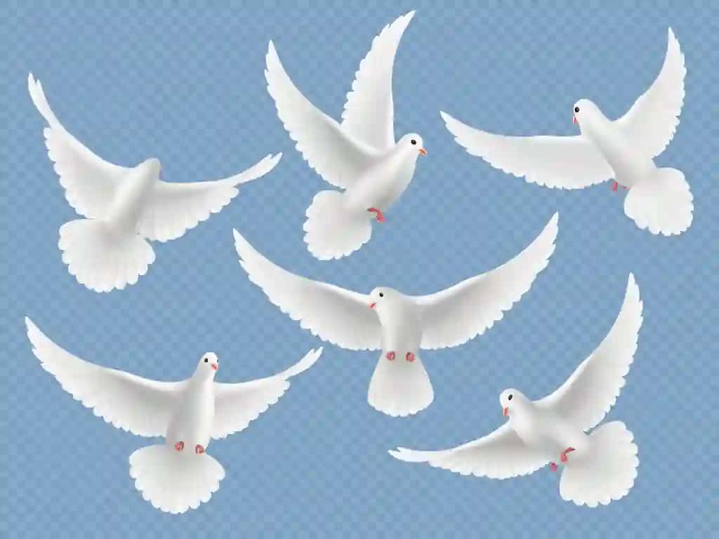 Haqiqiy kaptarlar oq erkinlik uchar qushlar kaptarlar din ramzlari | Realistic doves white freedom flying birds pigeons religion symbols