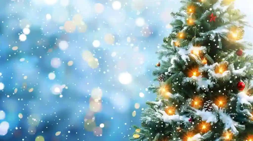 Rojdestvo elementi bilan chiroyli Rojdestvo bayrami foni | Beautiful christmas xmas holiday background with christmas element