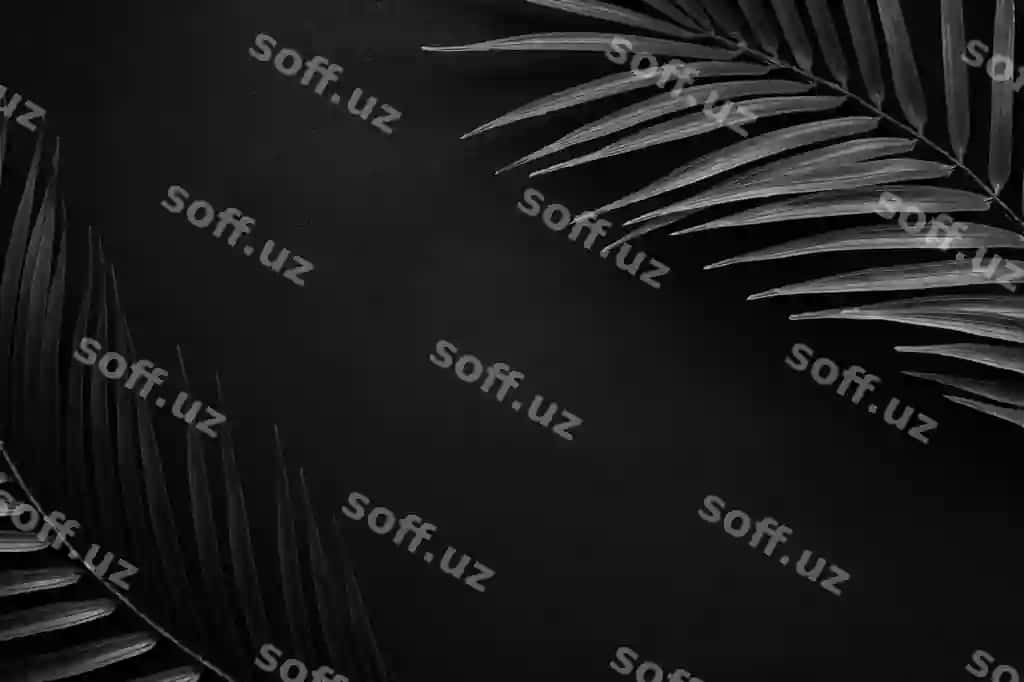 Qora palm yaproqatlari qora mat krey | Black palm leaves black matte slate