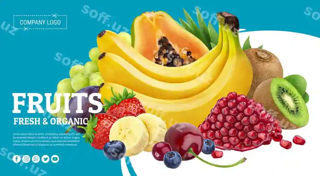 Poyt meva, "meva" deb yozilgan | Poster fruit that says fruit it