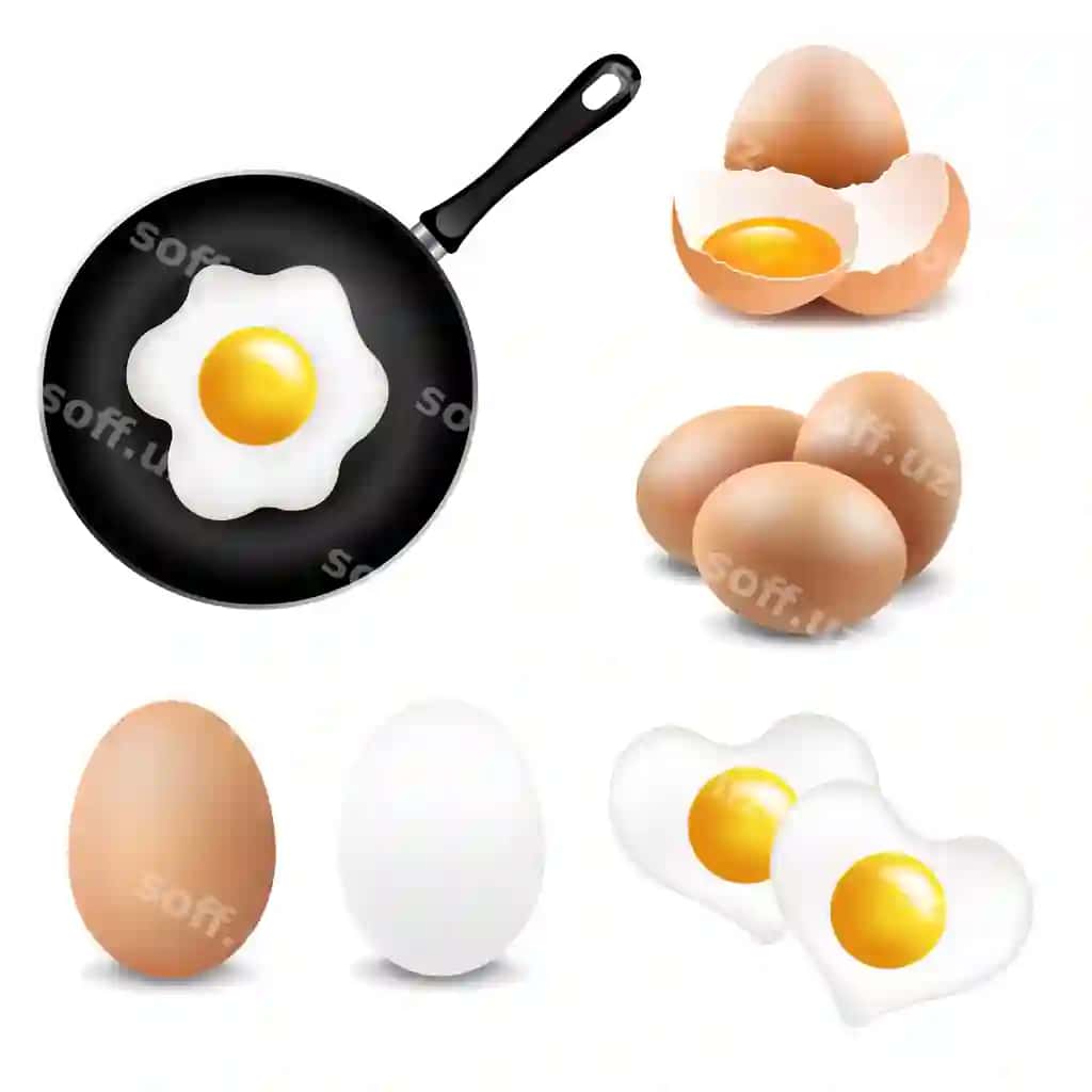 Katta tuxumlar to'plami oq fon | Big eggs collection white background
