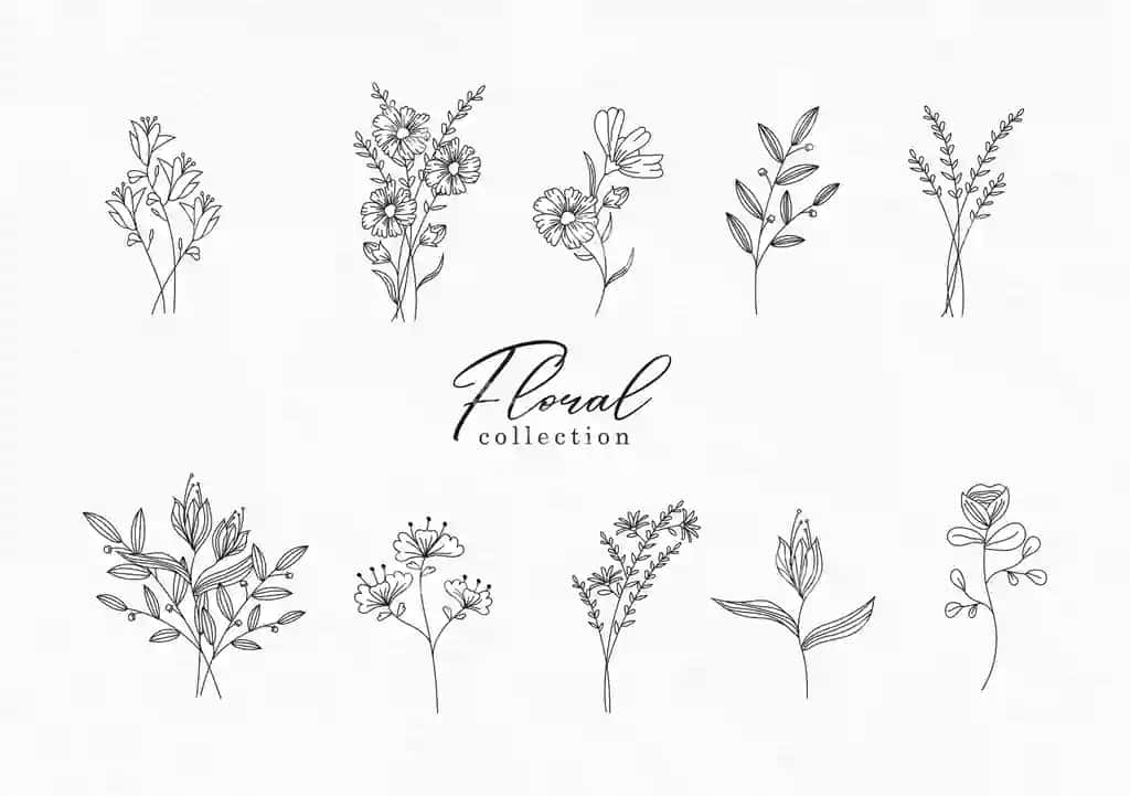 Qo'l bilan chizilgan siluet gulli to'plam | Hand drawn outline floral collection