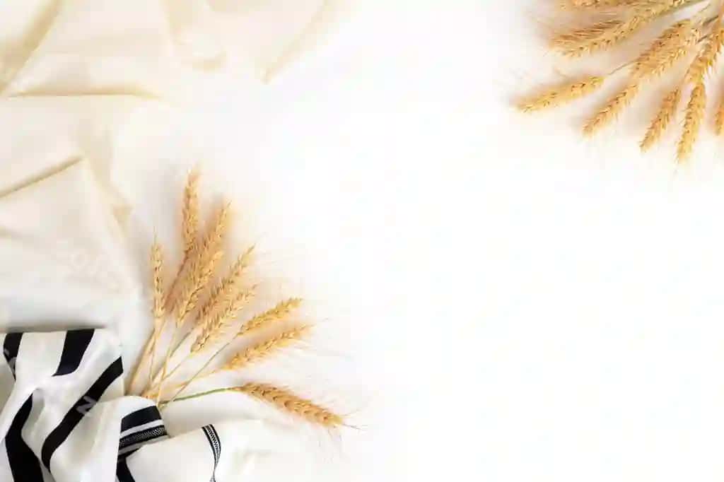 Yuqoridan ko'rinishdagi bug'doy boshoqlari oq fonda tallit | Top view wheat ears tallit white background
