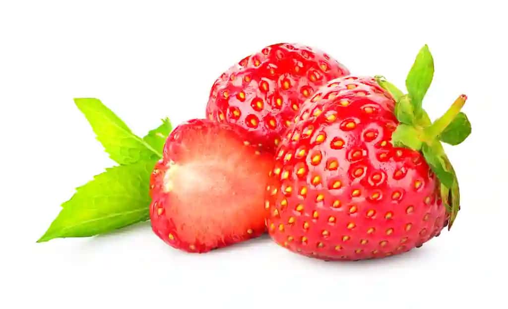 Qulupnay yalpiz izolyatsiya qilingan oq fon | Strawberry mint isolated white background