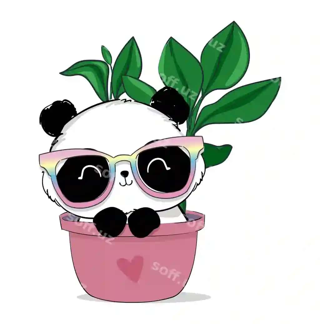 Chiroyli panda ko'z qoynagi illustratsiyasi | Cute panda bear with glasses illustration