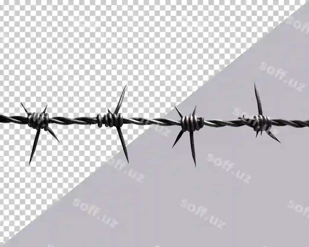 Tikanli simli shaffof fon | Barbed wire transparent background