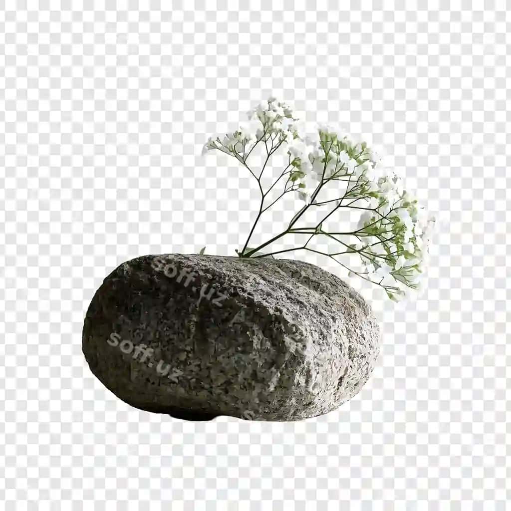 Oq gullar bilan tosh vaza | Rock vase with white flowers